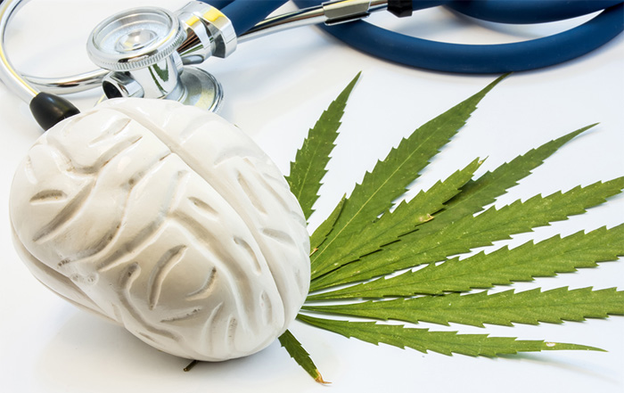 Impacto del consumo intensivo de cannabis en la funci&oacute;n cerebral