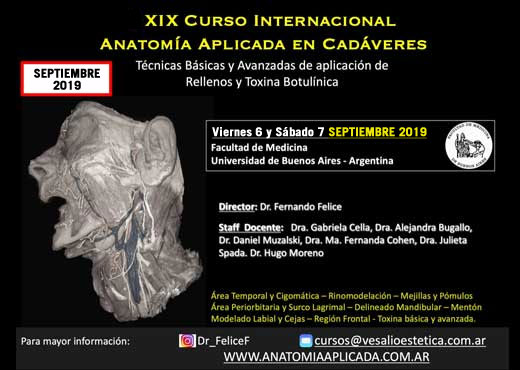 Curso Internacional Anatomía Aplicada en Cadáveres: técnicas básicas y avanzadas de aplicación de rellenos faciales y toxina botulínica