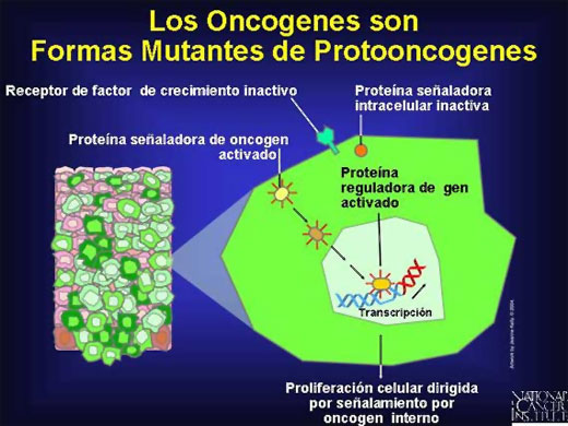 Oncogenes